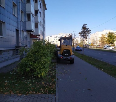 Стрижка кустов вокруг  ул. Галицкая, д.8, к.1 А